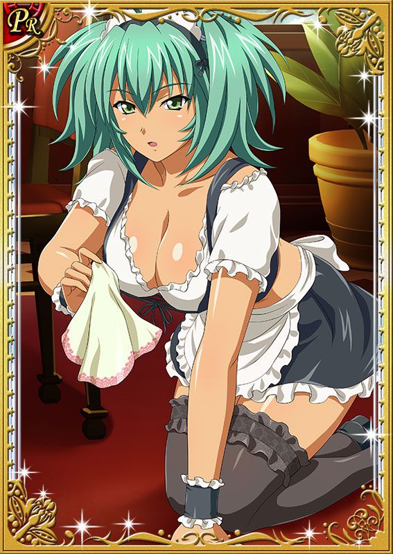 Ikkitousen Cards Coleccyion  Ryofu Housen set 191