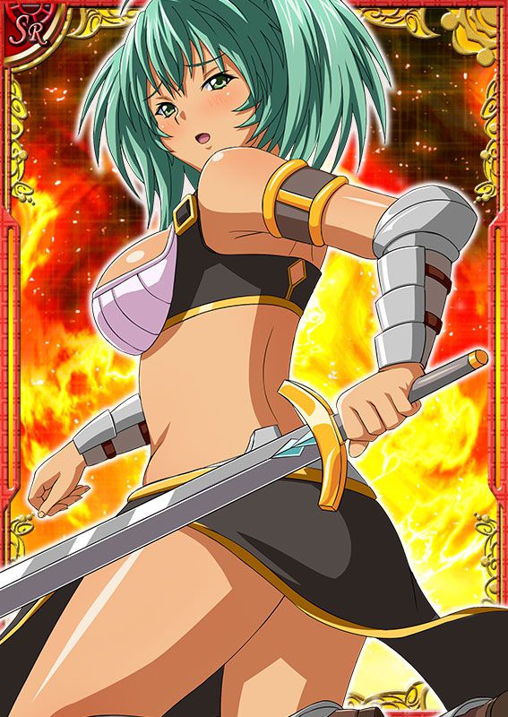 Ikkitousen Cards Coleccyion  Ryofu Housen set 2