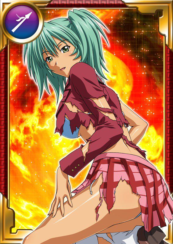 Ikkitousen Cards Coleccyion  Ryofu Housen set 200