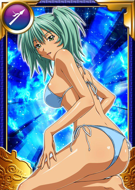 Ikkitousen Cards Coleccyion  Ryofu Housen set 202