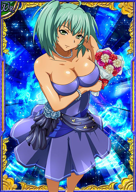 Ikkitousen Cards Coleccyion  Ryofu Housen set 203