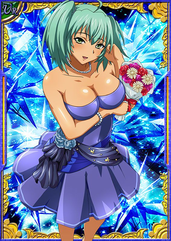 Ikkitousen Cards Coleccyion  Ryofu Housen set 204