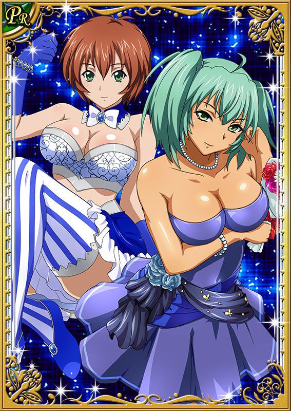 Ikkitousen Cards Coleccyion  Ryofu Housen set 205