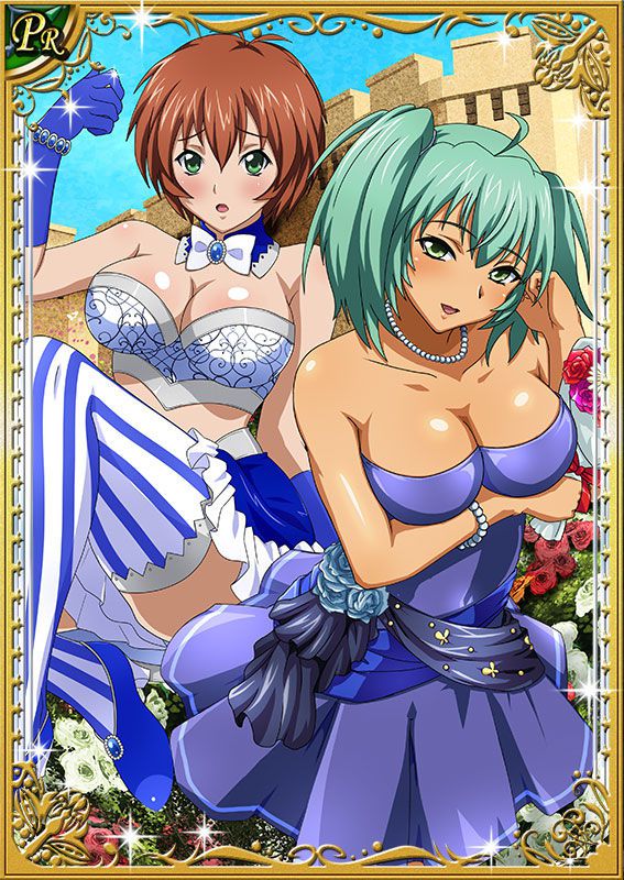 Ikkitousen Cards Coleccyion  Ryofu Housen set 206