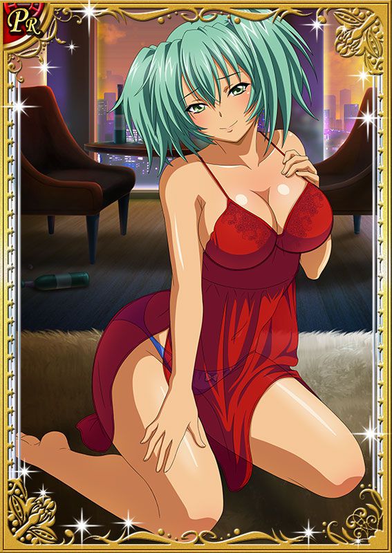 Ikkitousen Cards Coleccyion  Ryofu Housen set 207