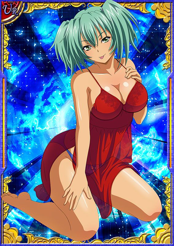 Ikkitousen Cards Coleccyion  Ryofu Housen set 209