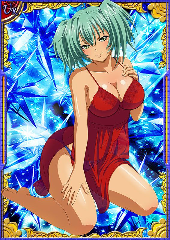 Ikkitousen Cards Coleccyion  Ryofu Housen set 210