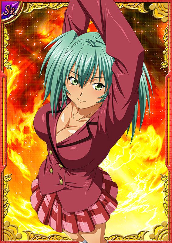 Ikkitousen Cards Coleccyion  Ryofu Housen set 211