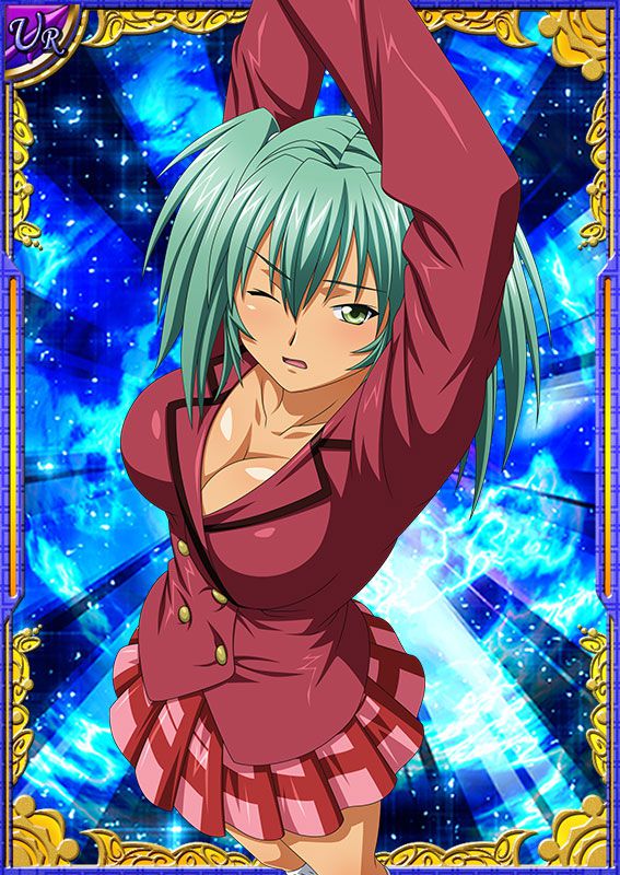 Ikkitousen Cards Coleccyion  Ryofu Housen set 212