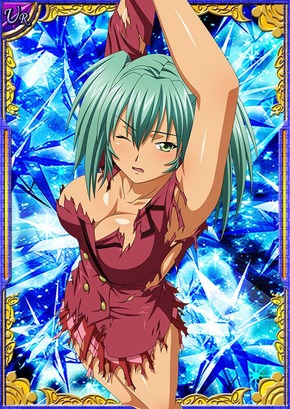 Ikkitousen Cards Coleccyion  Ryofu Housen set 213