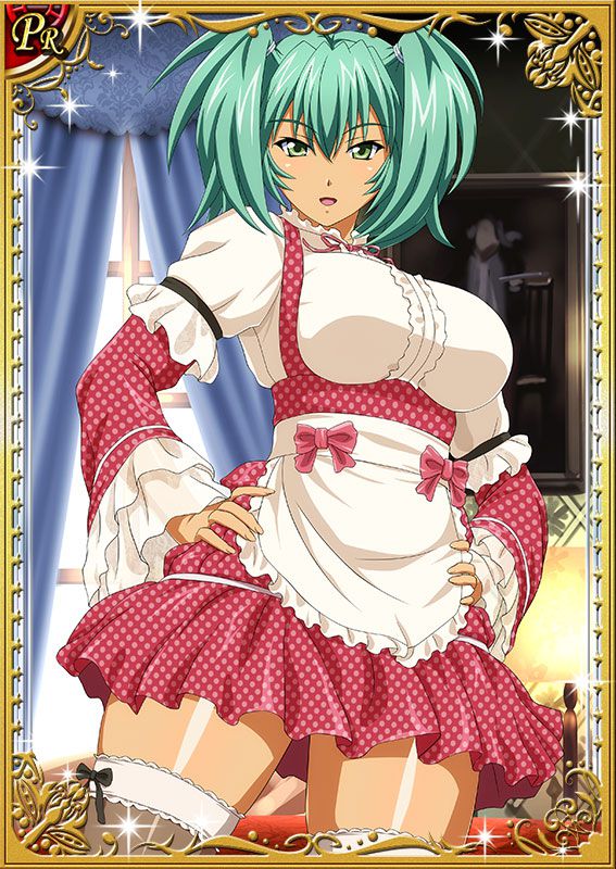 Ikkitousen Cards Coleccyion  Ryofu Housen set 214