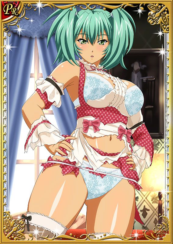 Ikkitousen Cards Coleccyion  Ryofu Housen set 215