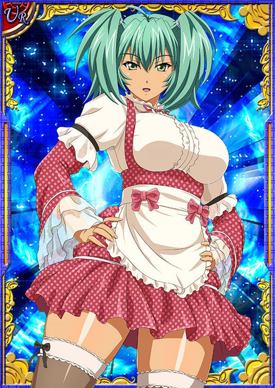 Ikkitousen Cards Coleccyion  Ryofu Housen set 216