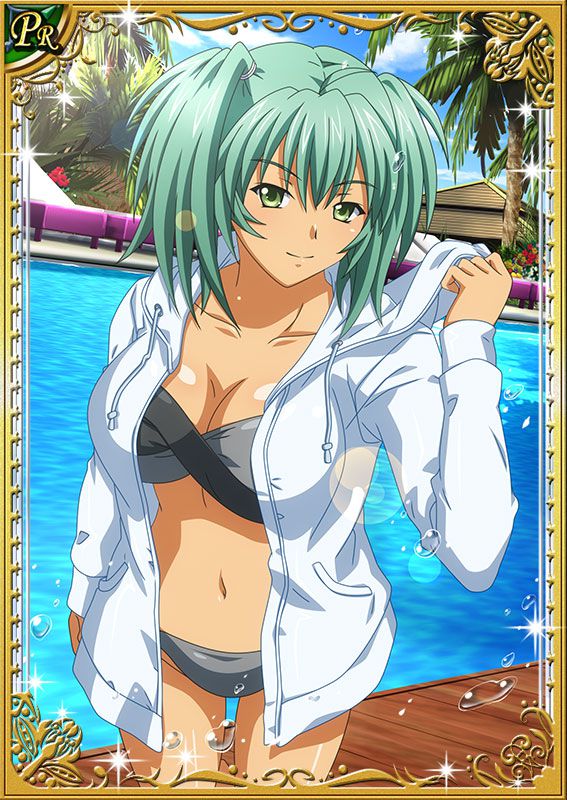 Ikkitousen Cards Coleccyion  Ryofu Housen set 217