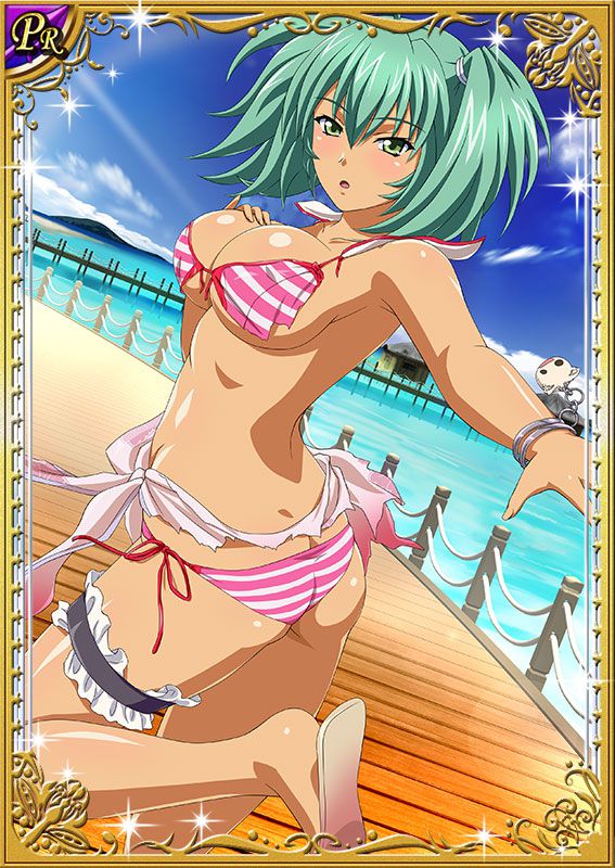 Ikkitousen Cards Coleccyion  Ryofu Housen set 218