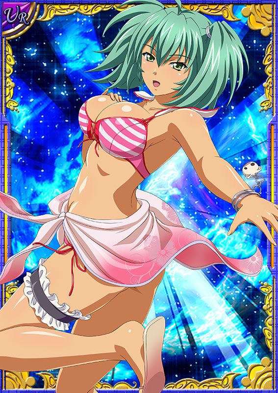 Ikkitousen Cards Coleccyion  Ryofu Housen set 219