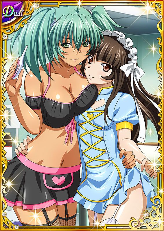 Ikkitousen Cards Coleccyion  Ryofu Housen set 220