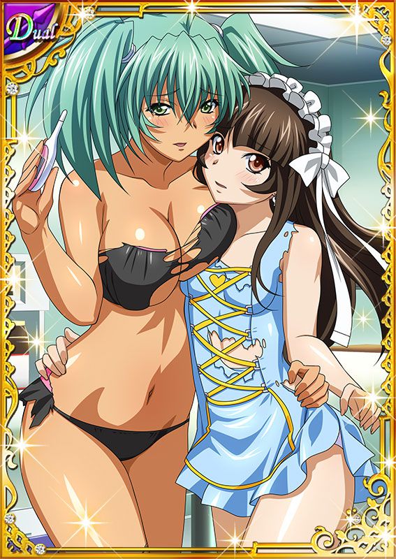 Ikkitousen Cards Coleccyion  Ryofu Housen set 221