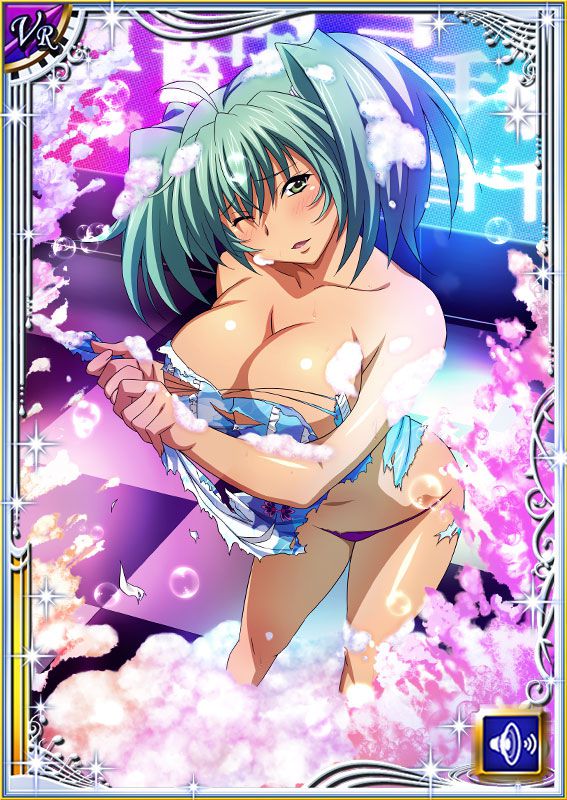 Ikkitousen Cards Coleccyion  Ryofu Housen set 223