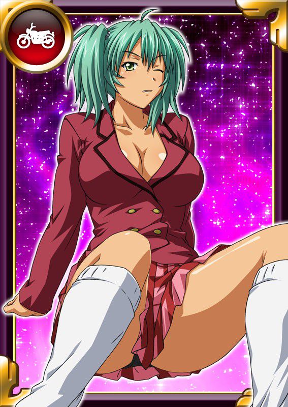 Ikkitousen Cards Coleccyion  Ryofu Housen set 224