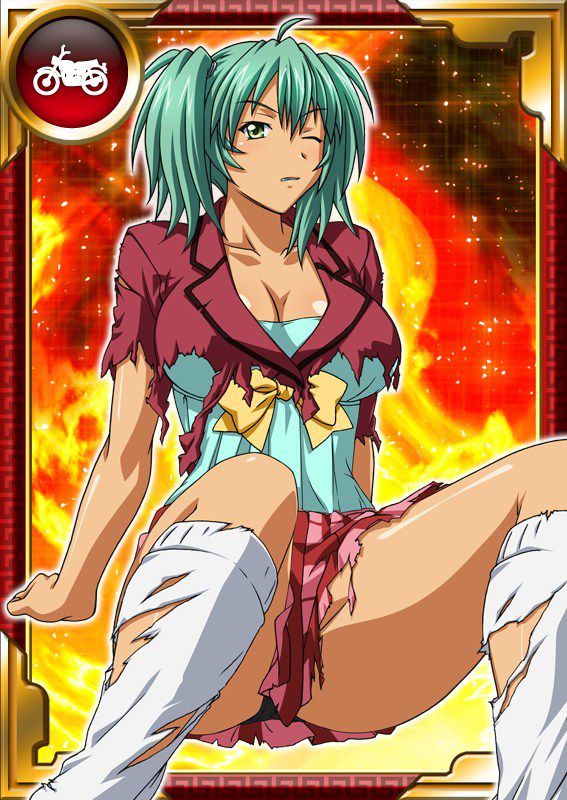 Ikkitousen Cards Coleccyion  Ryofu Housen set 225