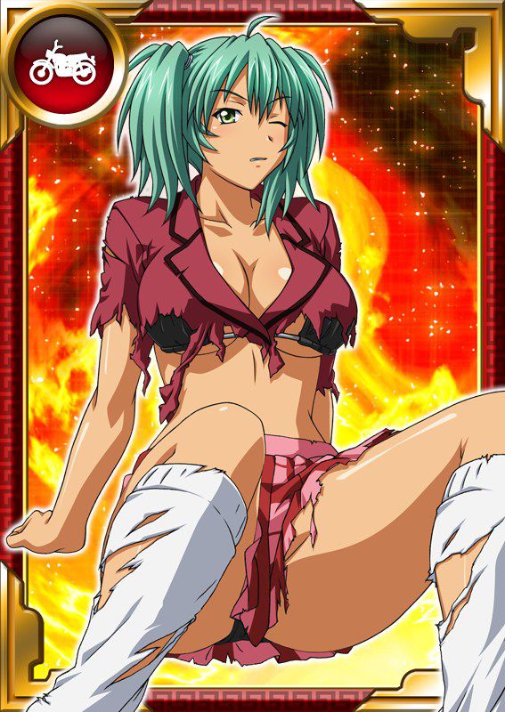 Ikkitousen Cards Coleccyion  Ryofu Housen set 226