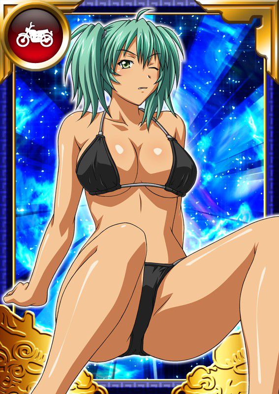 Ikkitousen Cards Coleccyion  Ryofu Housen set 227