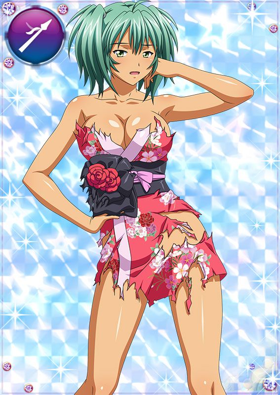 Ikkitousen Cards Coleccyion  Ryofu Housen set 228