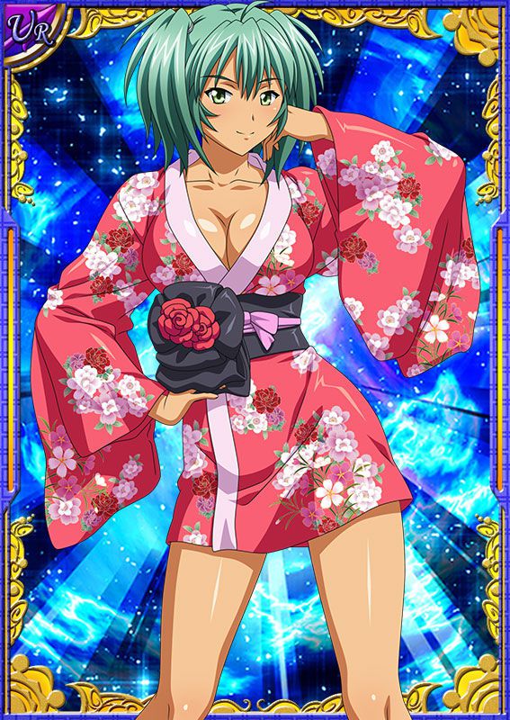 Ikkitousen Cards Coleccyion  Ryofu Housen set 229