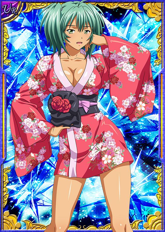 Ikkitousen Cards Coleccyion  Ryofu Housen set 230