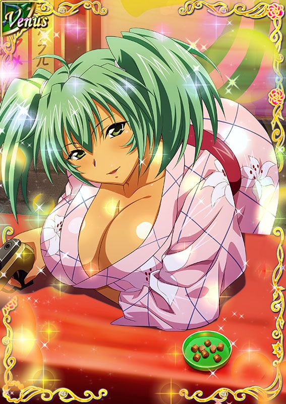 Ikkitousen Cards Coleccyion  Ryofu Housen set 231