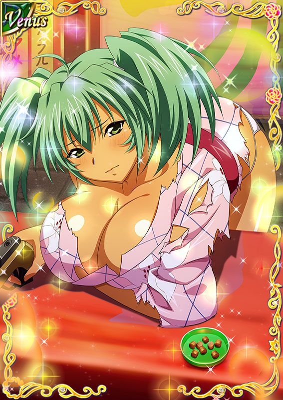 Ikkitousen Cards Coleccyion  Ryofu Housen set 232