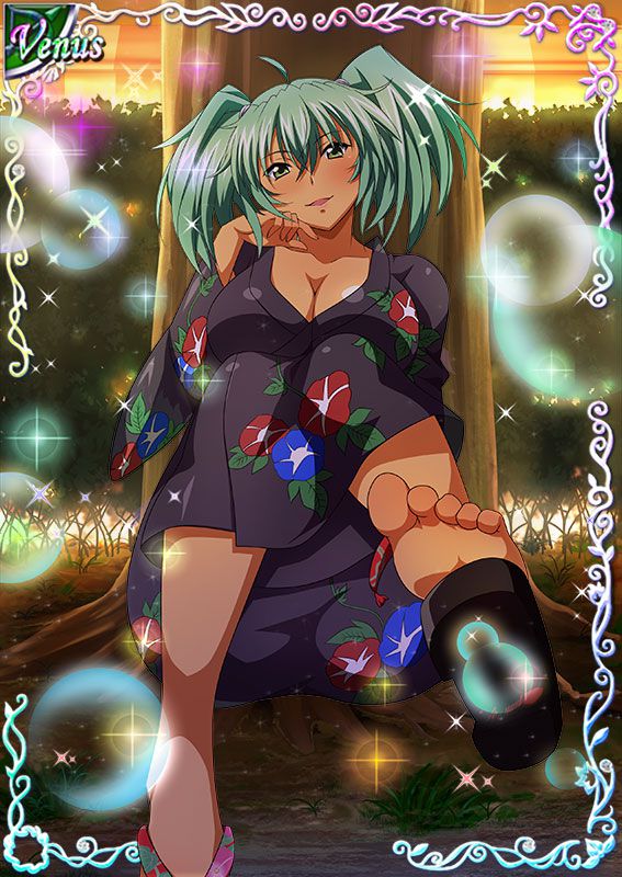 Ikkitousen Cards Coleccyion  Ryofu Housen set 233