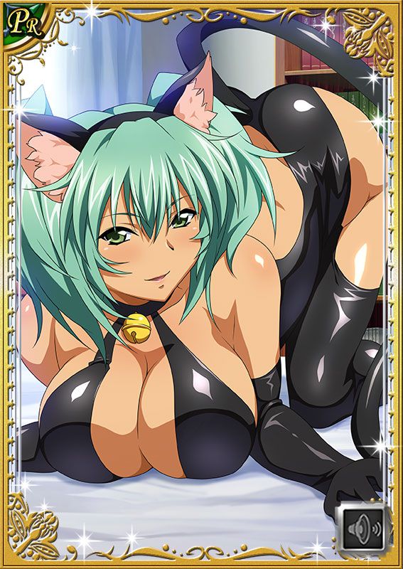 Ikkitousen Cards Coleccyion  Ryofu Housen set 235