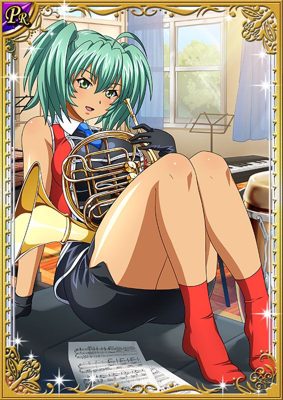 Ikkitousen Cards Coleccyion  Ryofu Housen set 237