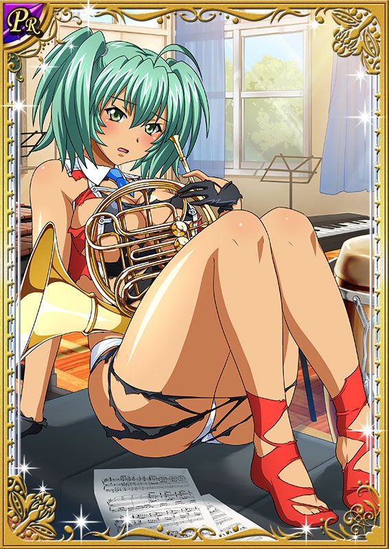 Ikkitousen Cards Coleccyion  Ryofu Housen set 238