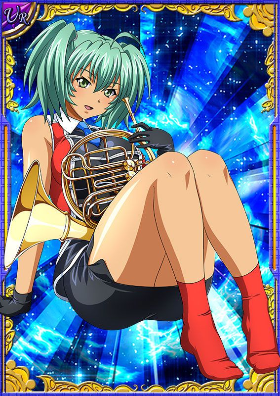 Ikkitousen Cards Coleccyion  Ryofu Housen set 239