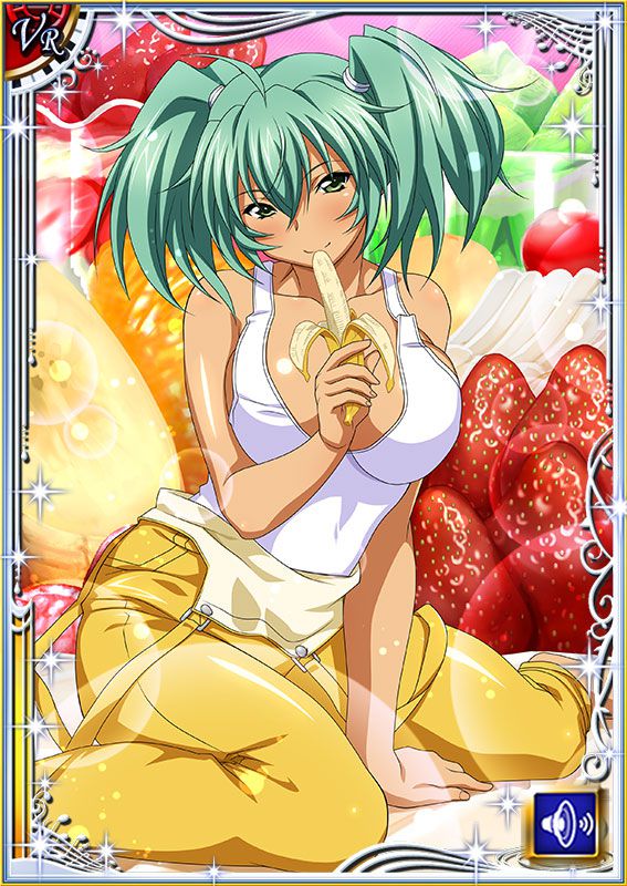 Ikkitousen Cards Coleccyion  Ryofu Housen set 240