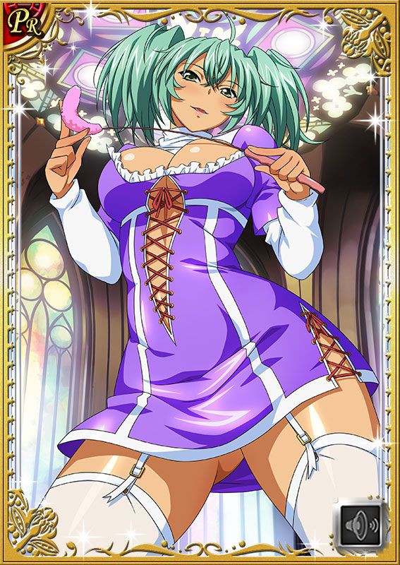 Ikkitousen Cards Coleccyion  Ryofu Housen set 242