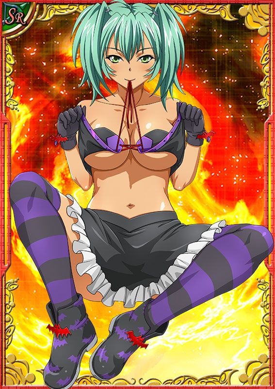 Ikkitousen Cards Coleccyion  Ryofu Housen set 244