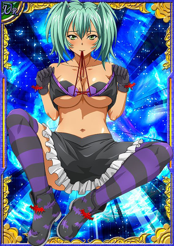 Ikkitousen Cards Coleccyion  Ryofu Housen set 245