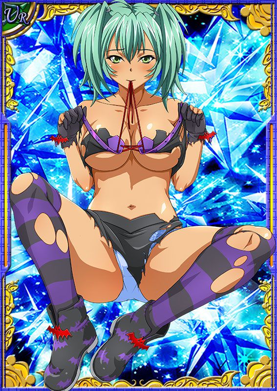 Ikkitousen Cards Coleccyion  Ryofu Housen set 246