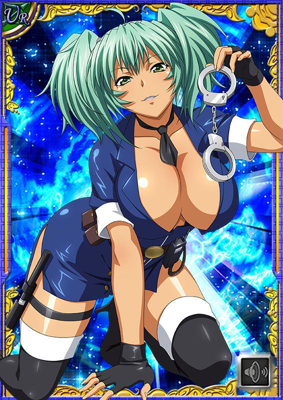 Ikkitousen Cards Coleccyion  Ryofu Housen set 250