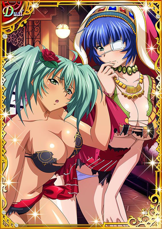 Ikkitousen Cards Coleccyion  Ryofu Housen set 252