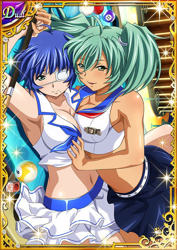 Ikkitousen Cards Coleccyion  Ryofu Housen set 253