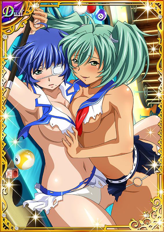 Ikkitousen Cards Coleccyion  Ryofu Housen set 254