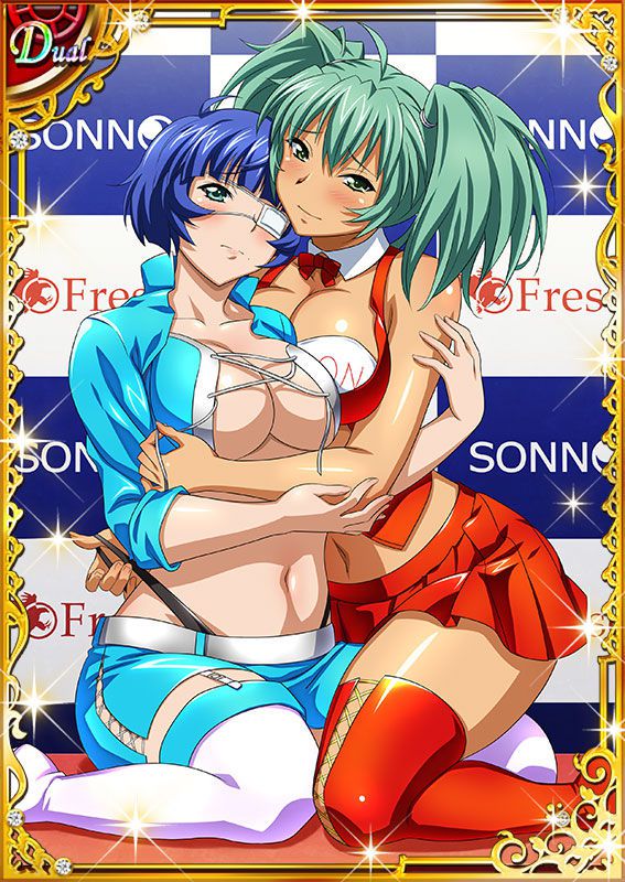 Ikkitousen Cards Coleccyion  Ryofu Housen set 256