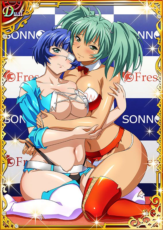 Ikkitousen Cards Coleccyion  Ryofu Housen set 257