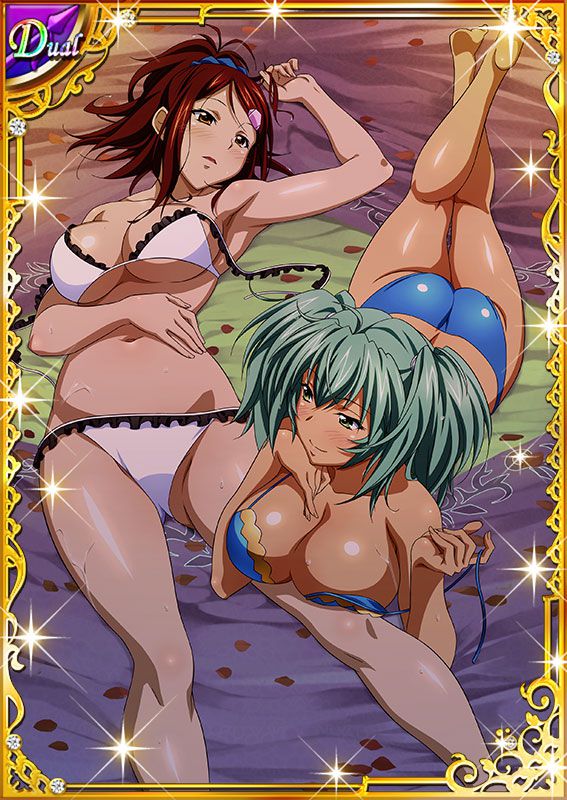 Ikkitousen Cards Coleccyion  Ryofu Housen set 264