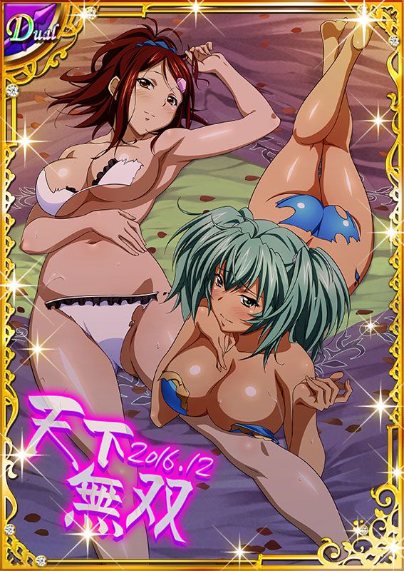 Ikkitousen Cards Coleccyion  Ryofu Housen set 265